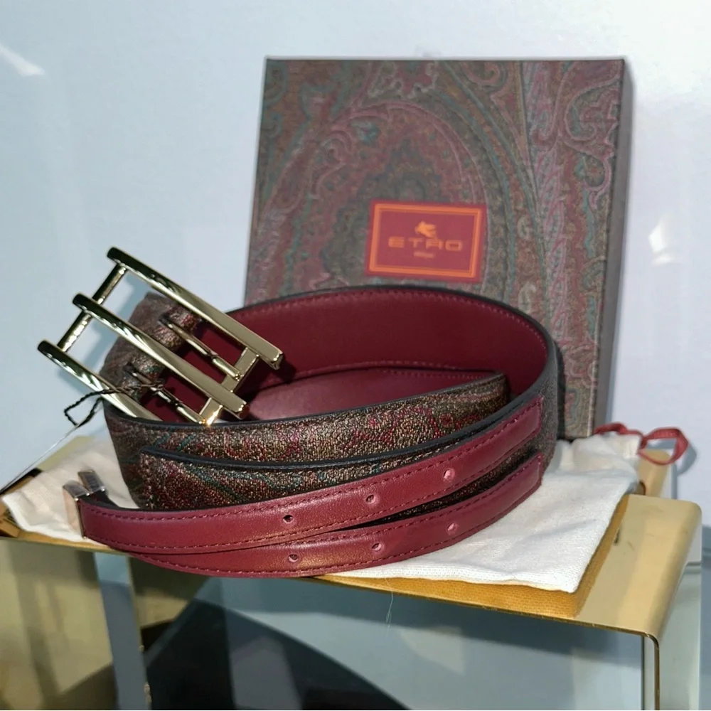NWT ETRO Mixed-Media Belt With Golden Hardware - Size: 90cm/36in (L) (8/10)
